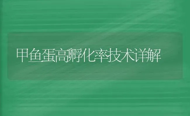 甲鱼蛋高孵化率技术详解 | 淡水养殖