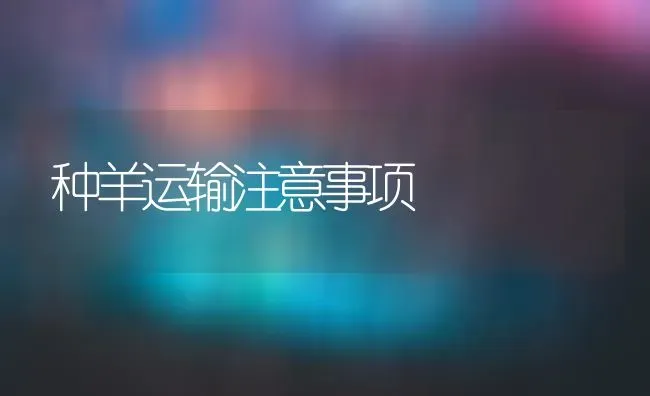 种羊运输注意事项 | 家畜养殖