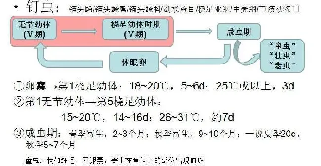 加州鲈秋季池塘管理技术要点详解