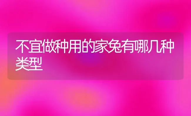 不宜做种用的家兔有哪几种类型 | 家畜养殖