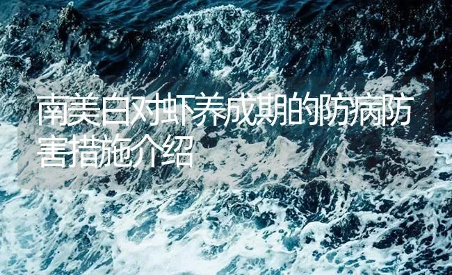 南美白对虾养成期的防病防害措施介绍 | 海水养殖