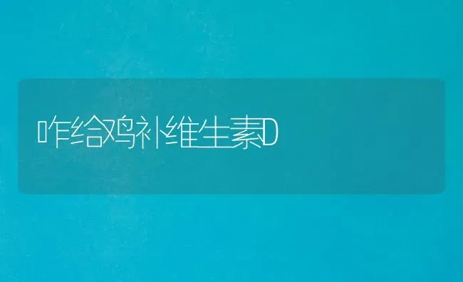 咋给鸡补维生素D | 家禽养殖