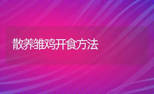 散养雏鸡开食方法 | 家禽养殖