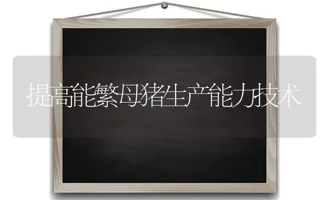 提高能繁母猪生产能力技术 | 家畜养殖