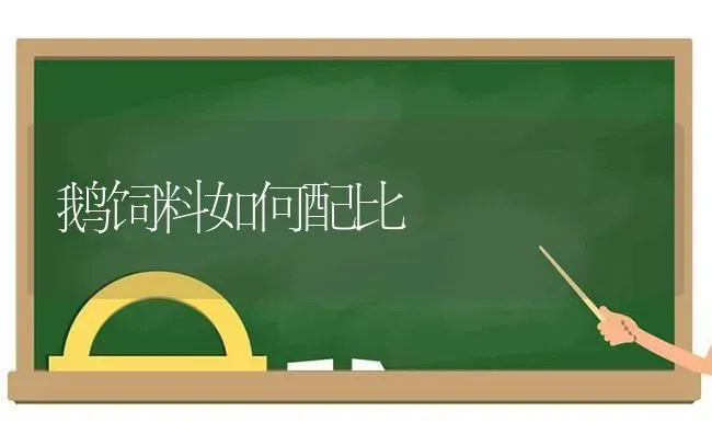 鹅饲料如何配比 | 家禽养殖