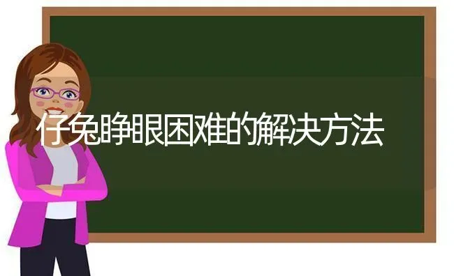 仔兔睁眼困难的解决方法 | 家畜养殖