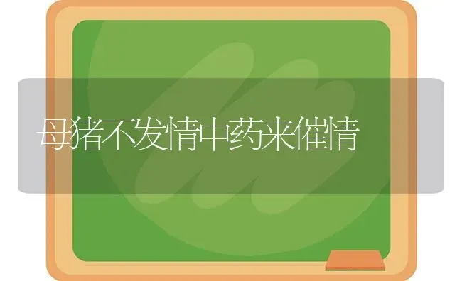 母猪不发情中药来催情 | 养殖病虫害防治