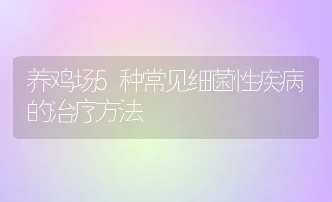 养鸡场5种常见细菌性疾病的治疗方法 | 家禽养殖