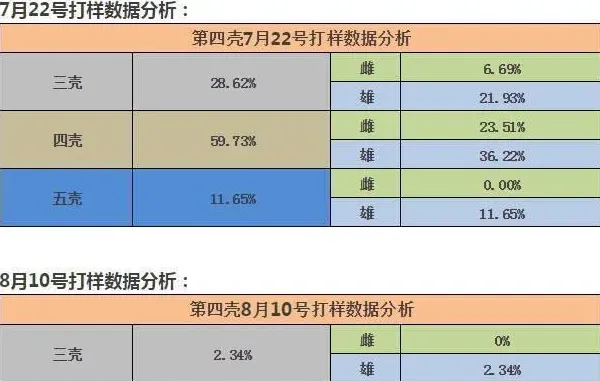 冲刺阶段，大家长势如何？第四次河蟹蜕壳打样数据分析告诉你