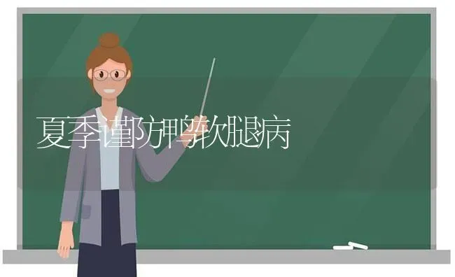 夏季谨防鸭软腿病 | 家禽养殖