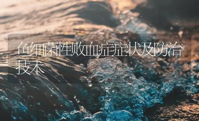 鱼细菌性败血症症状及防治技术 | 养殖病虫害防治