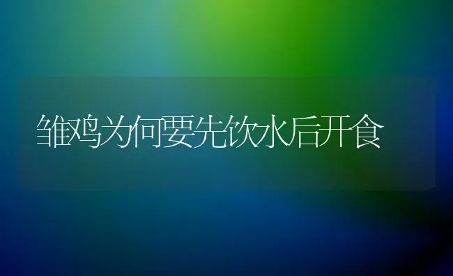 雏鸡为何要先饮水后开食 | 家禽养殖