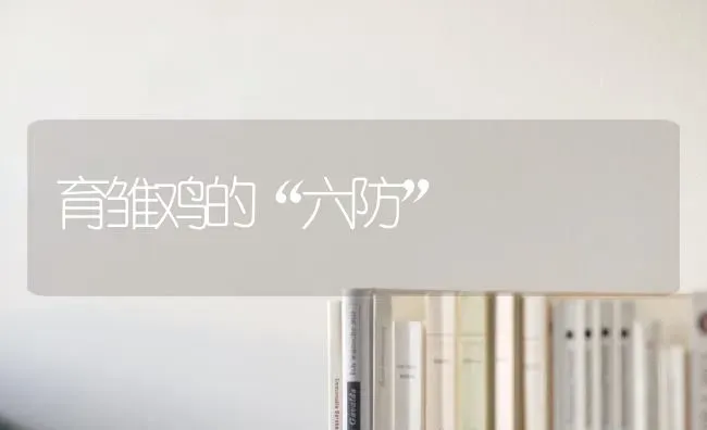 育雏鸡的“六防” | 家禽养殖
