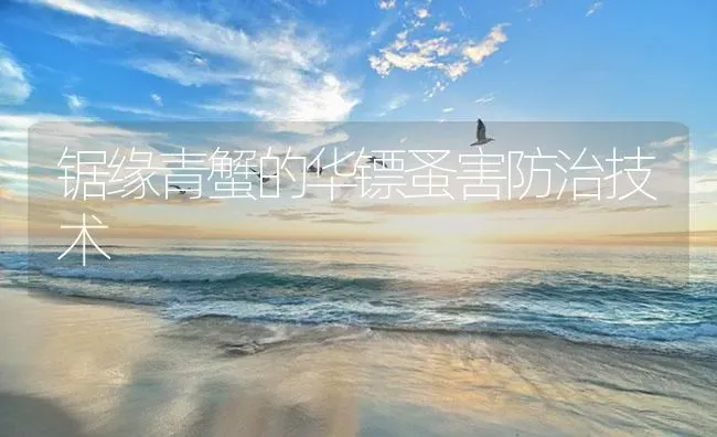 锯缘青蟹的华镖蚤害防治技术 | 海水养殖