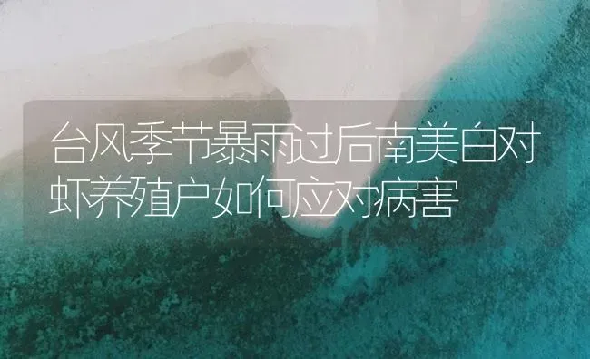 台风季节暴雨过后南美白对虾养殖户如何应对病害 | 海水养殖
