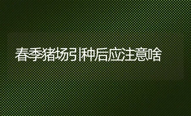 春季猪场引种后应注意啥 | 家畜养殖