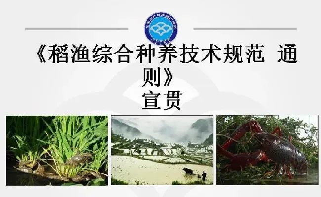 稻渔综合种养技术规范 通则