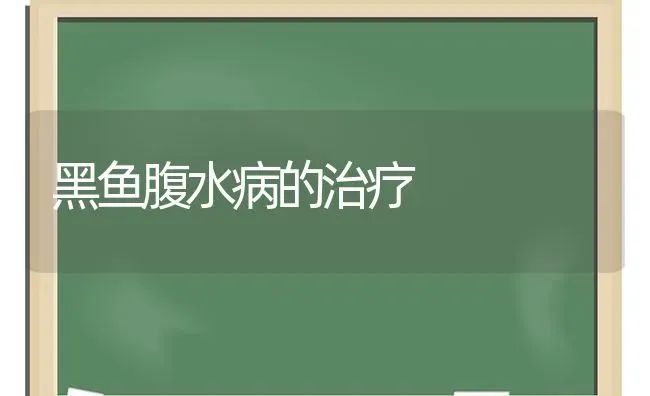 黑鱼腹水病的治疗 | 淡水养殖