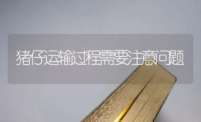 猪仔运输过程需要注意问题 | 家畜养殖