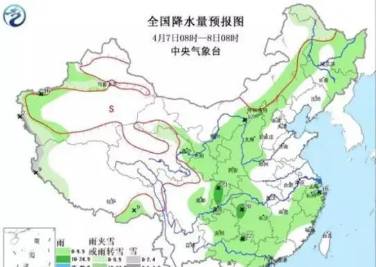 清明时节雨纷纷，小心鱼虾断了魂