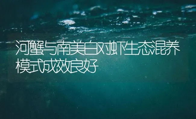 河蟹与南美白对虾生态混养模式成效良好 | 海水养殖