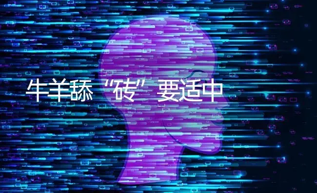 牛羊舔“砖”要适中 | 家畜养殖