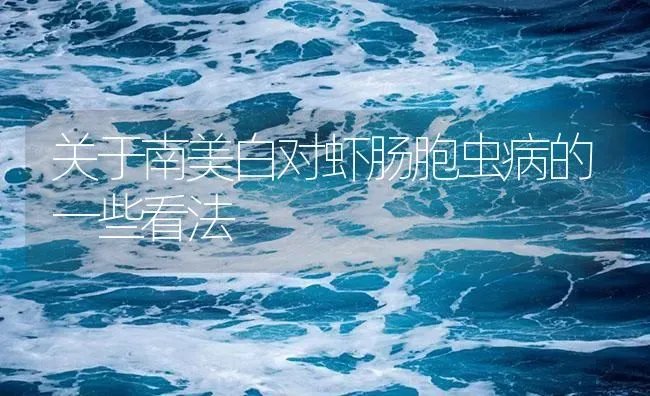 关于南美白对虾肠胞虫病的一些看法 | 海水养殖