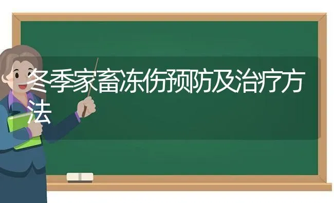 冬季家畜冻伤预防及治疗方法 | 家畜养殖