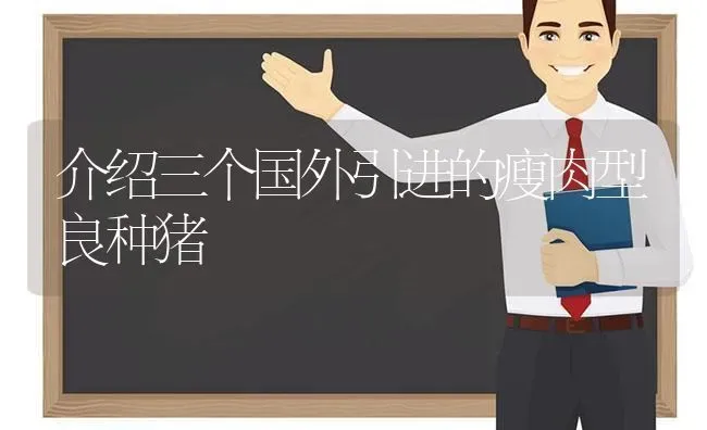 介绍三个国外引进的瘦肉型良种猪 | 家畜养殖
