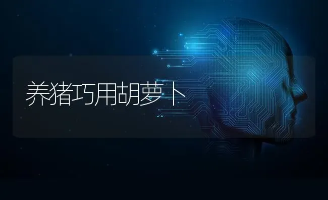 养猪巧用胡萝卜 | 家畜养殖