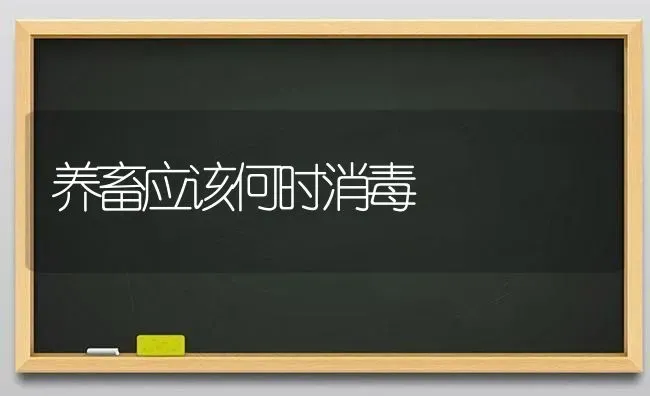 养畜应该何时消毒 | 家畜养殖