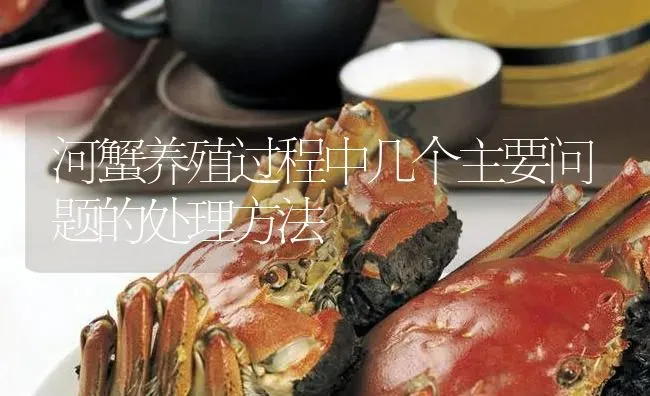河蟹养殖过程中几个主要问题的处理方法 | 淡水养殖
