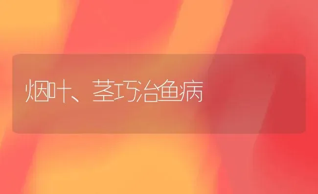 烟叶、茎巧治鱼病 | 淡水养殖