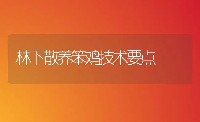 林下散养笨鸡技术要点 | 家禽养殖