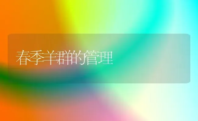 春季羊群的管理 | 家畜养殖