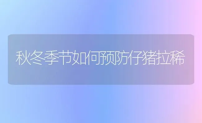 秋冬季节如何预防仔猪拉稀 | 家畜养殖