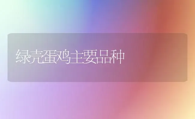 绿壳蛋鸡主要品种 | 家禽养殖