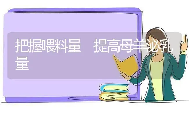 把握喂料量 提高母羊泌乳量 | 家畜养殖