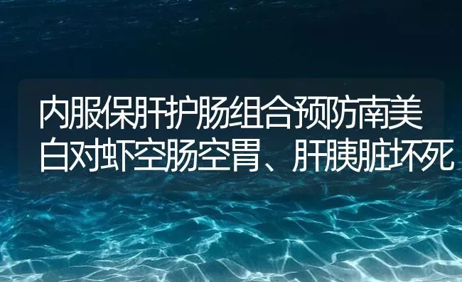 内服保肝护肠组合预防南美白对虾空肠空胃、肝胰脏坏死 | 海水养殖