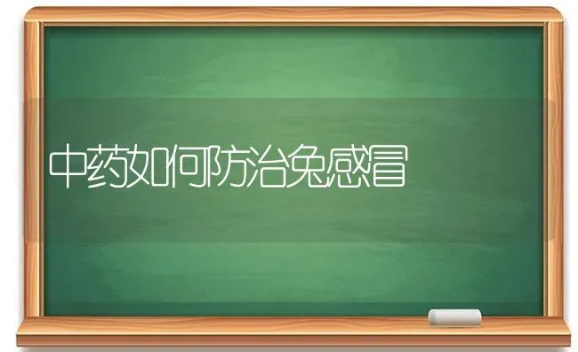 中药如何防治兔感冒 | 养殖病虫害防治