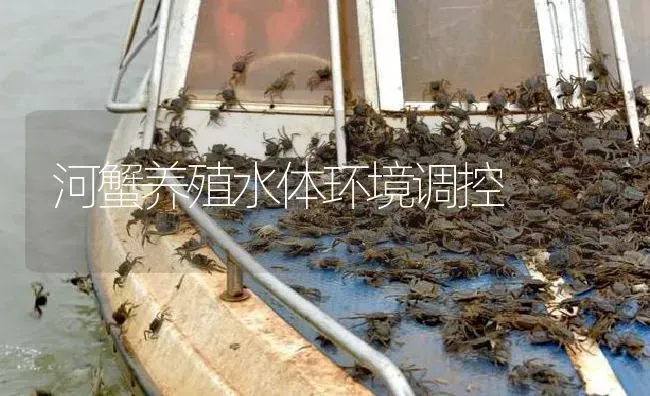 河蟹养殖水体环境调控 | 淡水养殖