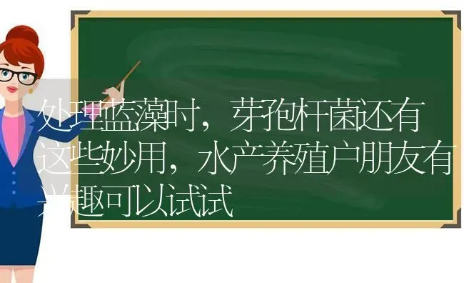 处理蓝藻时，芽孢杆菌还有这些妙用，水产养殖户朋友有兴趣可以试试 | 动物养殖百科