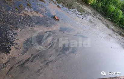 糟糕！小龙虾塘的水草蔫了、漂草......如何让水草快速恢复活力？