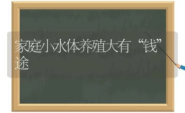 家庭小水体养殖大有“钱”途 | 动物养殖百科