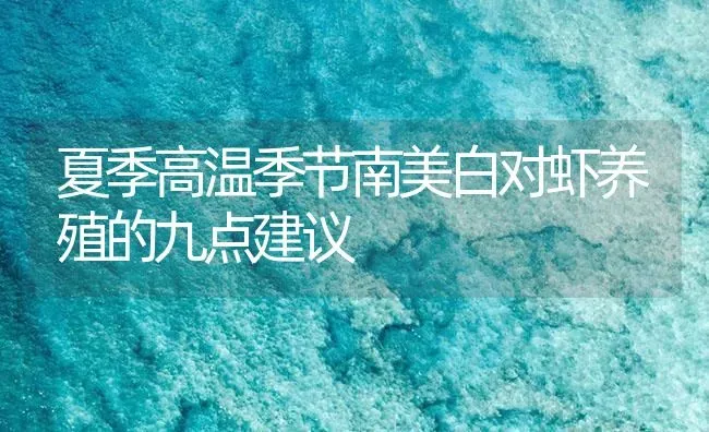 夏季高温季节南美白对虾养殖的九点建议 | 海水养殖