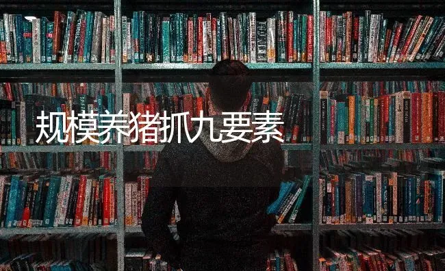 规模养猪抓九要素 | 家畜养殖