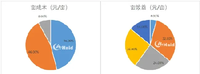 龙虾养殖转型，才是赚钱之道！