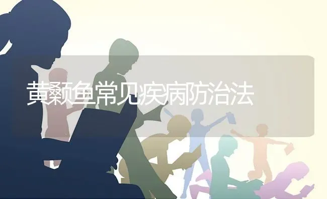 黄颡鱼常见疾病防治法 | 淡水养殖