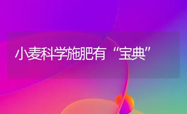 鲁西黑头羊 | 家畜养殖