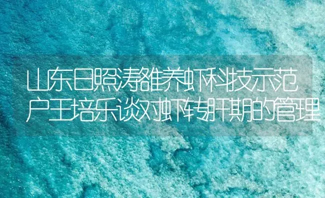 山东日照涛雒养虾科技示范户王培乐谈对虾转肝期的管理 | 海水养殖